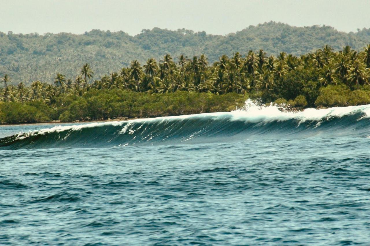 "Triangle Hut" Camp Fuego Siargao Hotel Catangnan Eksteriør billede